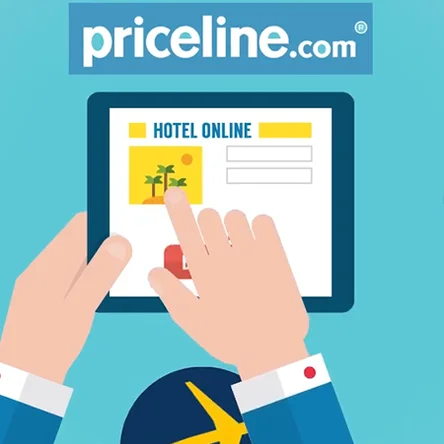 The Designers Agency